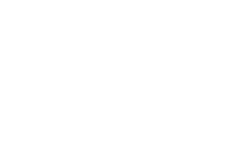 Source icon