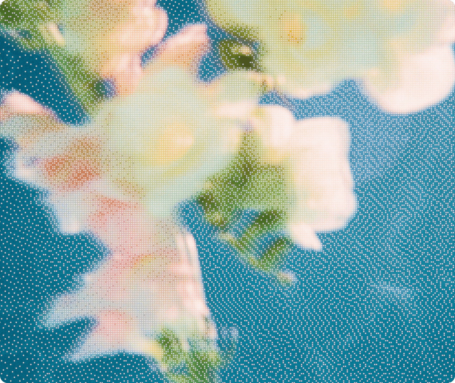 Stylized image of a flower
